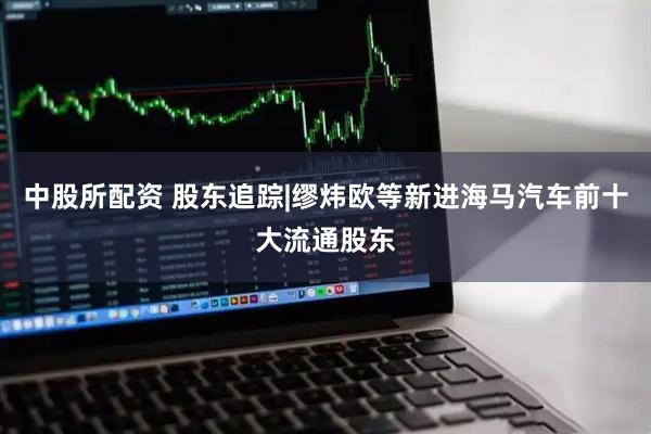 中股所配资 股东追踪|缪炜欧等新进海马汽车前十大流通股东