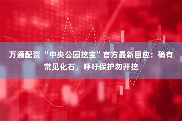 万通配资 “中央公园挖宝”官方最新回应：确有常见化石，呼吁保护勿开挖
